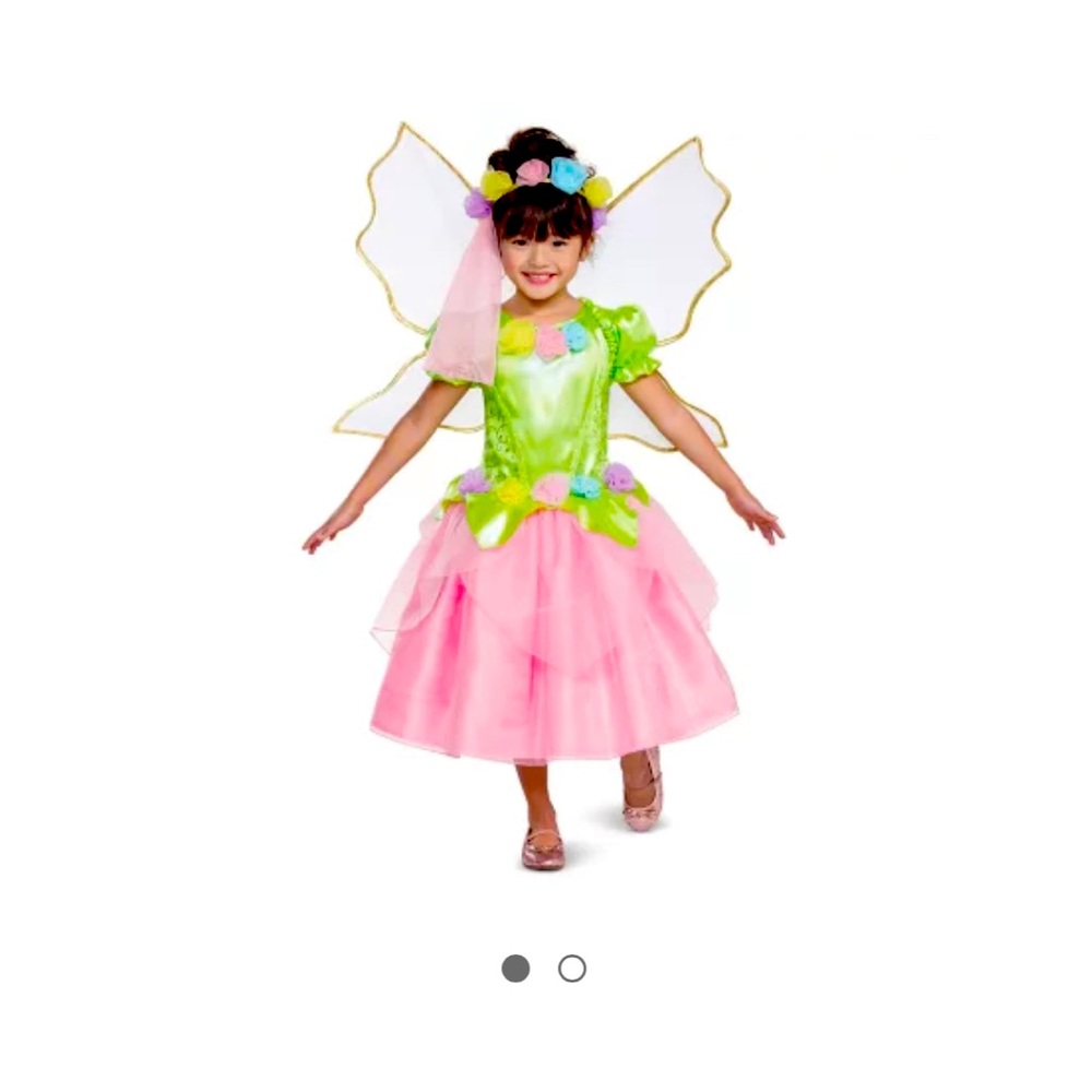 Fairy 🧚‍♂️ Halloween 🎃 costume